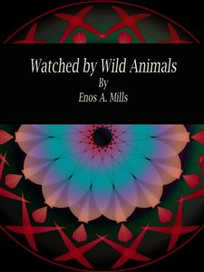Watched by Wild Animals - Enos A. Mills - E-Book