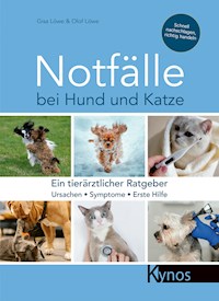 Notfälle bei Hund und Katze - Gisa Löwe - E-Book
