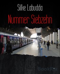Nummer Siebzehn - Silke Labudda - E-Book