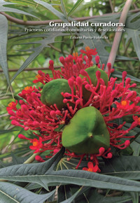 Grupalidad curadora. - Liliana Parra Valencia - E-Book