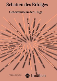 Schatten des Erfolges - Petra Picard - E-Book