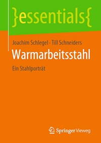Warmarbeitsstahl - Joachim Schlegel - E-Book