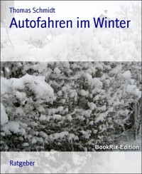 Autofahren im Winter - Thomas Schmidt - E-Book
