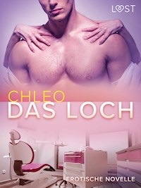 Das Loch – Erotische Novelle - Chleo - E-Book