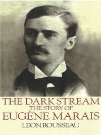 The Dark Stream - L Rousseau - E-Book