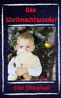 Das Weihnachtswunder - Elke Immanuel - E-Book