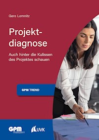 Projektdiagnose - Gero Lomnitz - E-Book