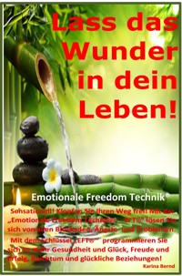 Lass das Wunder in dein Leben fließen! - Karina Bernd - E-Book