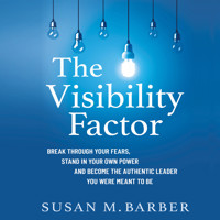 The Visibility Factor - Susan M. Barber - Hörbuch