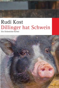 Dillinger hat Schwein - Rudi Kost - E-Book