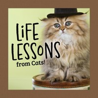 Life Lessons from Cats! - Grace Peterson - E-Book