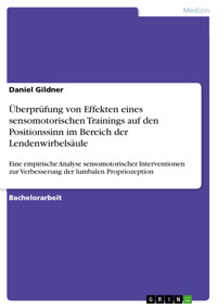 Überprüfung von Effekten eines sensomotorischen Trainings auf den Positionssinn im Bereich der Lendenwirbelsäule - Daniel Gildner - E-Book