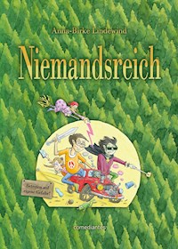 Niemandsreich - Anna-Birke Lindewind - E-Book