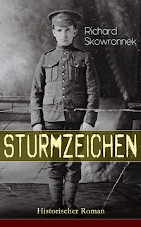 Sturmzeichen (Historischer Roman) - Richard Skowronnek - E-Book
