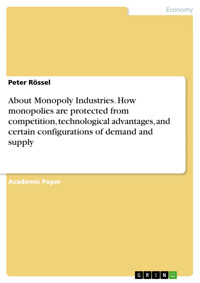 About Monopoly Industries. How monopolies are protected from competition, technological advantages, and certain configurations of demand and supply - Peter Rössel - E-Book