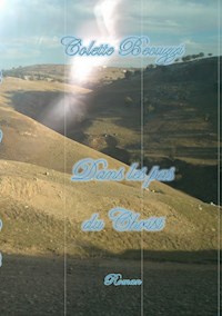 Dans les pas du Christ - Colette Becuzzi - E-Book