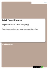 Legislative Rechtserzeugung - Babak Fahimi Shemrani - E-Book