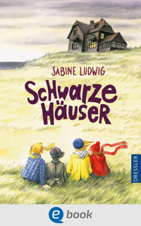 Schwarze Häuser - Sabine Ludwig - E-Book