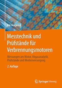 Messtechnik und Prüfstände für Verbrennungsmotoren - Kai Borgeest - E-Book
