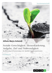 Soziale Gerechtigkeit. Herausforderung, Aufgabe, Ziel und Notwendigkeit - Alfons Maria Schmidt - E-Book