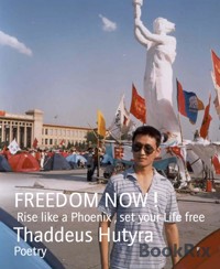 FREEDOM NOW ! - Thaddeus Hutyra - E-Book