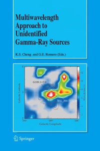 Multiwavelength Approach to Unidentified Gamma-Ray Sources -  - E-Book