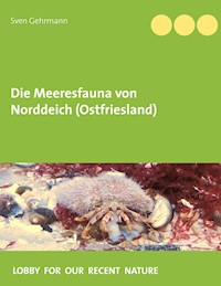 Die Meeresfauna von Norddeich (Ostfriesland) - Sven Gehrmann - E-Book
