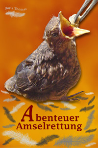 Abenteuer Amselrettung - Doris Thomas - E-Book