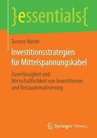 Investitionsstrategien für Mittelspannungskabel - Torsten Werth - E-Book
