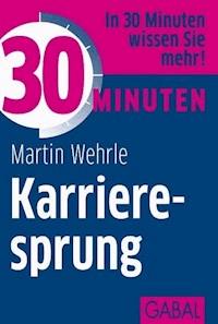 30 Minuten Karrieresprung - Martin Wehrle - E-Book