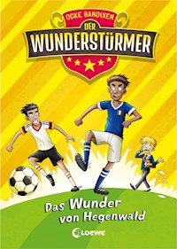 Der Wunderstürmer (Band 6) - Das Wunder von Hegenwald - Ocke Bandixen - E-Book