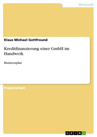 Kreditfinanzierung einer GmbH im Handwerk - Klaus Michael Gottfreund - E-Book