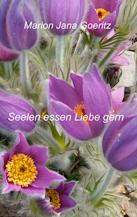 Seelen essen Liebe gern - Marion Jana Goeritz - E-Book