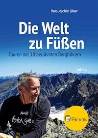 Die Welt zu Füßen - Hans-Joachim Löwer - E-Book