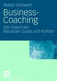 Business-Coaching - Walter Schwertl - E-Book
