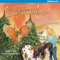 Eine wunderbare Freundschaft - Ina Brandt - Hörbuch