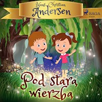 Pod starą wierzbą - H.C. Andersen - Hörbuch