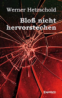Bloß nicht hervorstechen - Werner Hetzschold - E-Book
