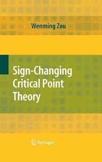 Sign-Changing Critical Point Theory - Wenming Zou - E-Book