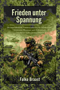 Frieden unter Spannung - Falko Braast - E-Book