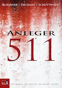 Anleger 511 - Klaus Dechant - E-Book