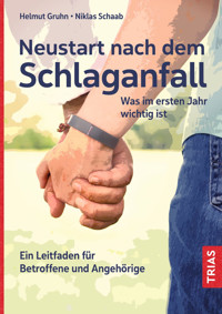 Neustart nach dem Schlaganfall - Helmut Gruhn - E-Book