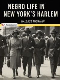 Negro Life in New York’s Harlem - Wallace Thurman - E-Book