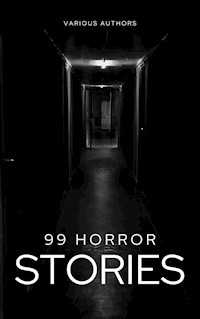 99 Horror Stories - Various Authors - E-Book