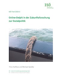 Online-Delphi in der Zukunftsforschung zur Sozialpolitik - Timo Hutflesz - E-Book