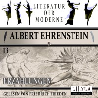 Erzählungen 13 - Albert Ehrenstein - Hörbuch