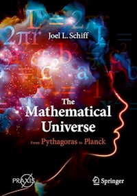 The Mathematical Universe - Joel L. Schiff - E-Book