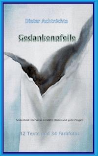 Gedankenpfeile - Dieter Achtnichts - E-Book