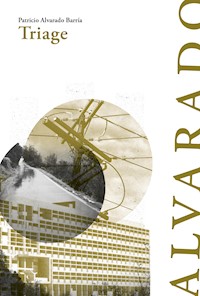 Triage - Patricio Alvarado - E-Book