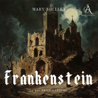 Frankenstein - Livre Audio - Mary Wollstonecraft Shelley - Hörbuch